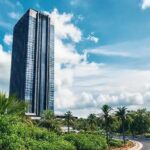 Banco Central planeja novos produtos com sucesso do BC Protege+