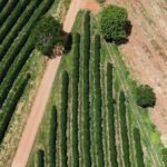 Desastres naturais no Brasil: prejuízos de R$ 28 bilhões em 2025