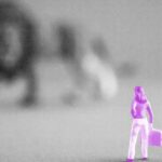 Aposentados e a Declaração do Imposto de Renda: O Que Saber em 2026